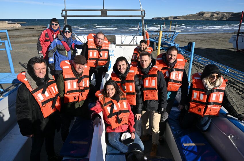  Torres inauguró la Temporada de Ballenas 2024 en Chubut: “Vamos a reforzar el enorme potencial turístico que tiene nuestra región”