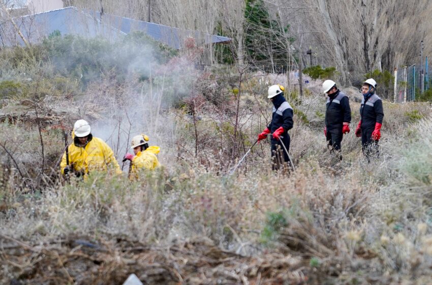 El Municipio analiza el impacto del derrame de petróleo para aplicar sanción a YPF