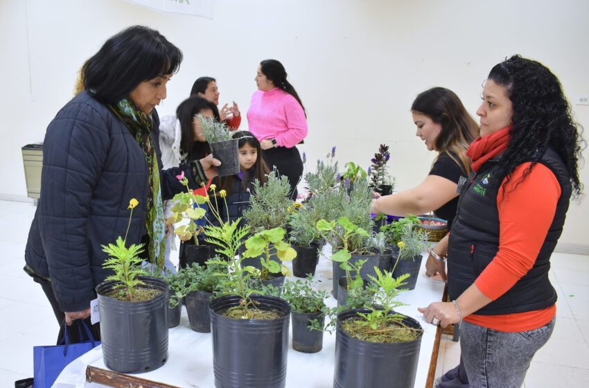  Esté sábado habrá una nueva jornada de Ecocanje de aceite vegetal usado