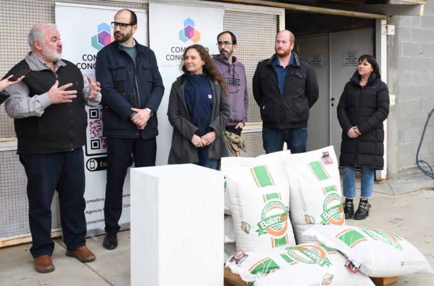  Se concretó una entrega de alimento balanceado para gallinas ponedoras para dar continuidad al Programa Prohuerta del INTA