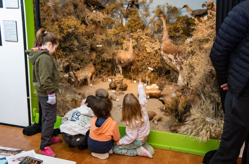  RADA TILLY FESTEJA SU MES ANIVERSARIO