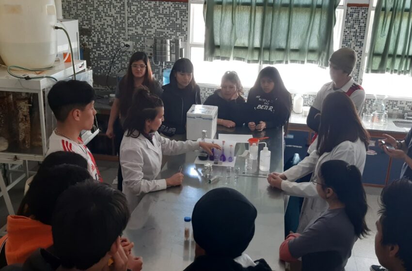  Proyectos de Chubut fueron seleccionados en la convocatoria que promueve la llegada de la nanotecnología a escuelas secundarias