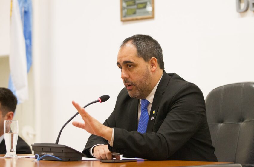  Comodoro ya tiene una Ordenanza para el control de equinos en vía pública