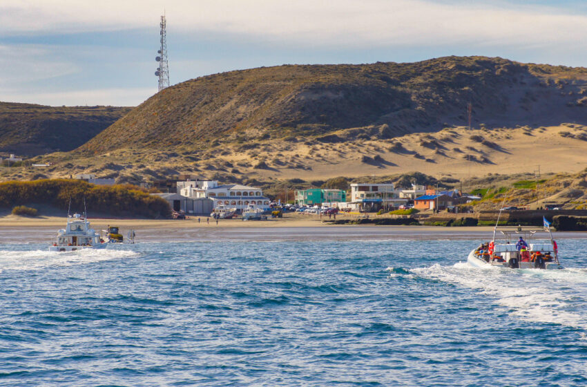  Luego de cuatro años se aprobó en Península Valdés el servicio de cabalgatas