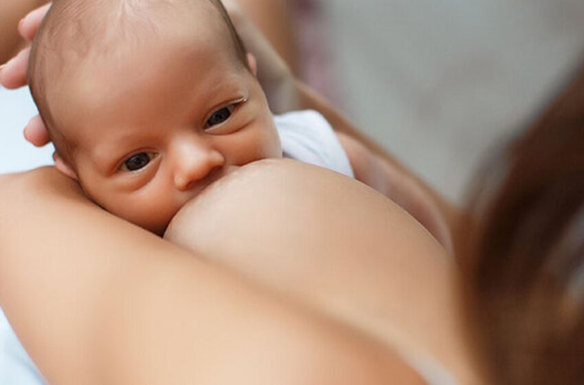  Provincia conmemora la “Semana Mundial de la Lactancia” para concientizar sobre la importancia de amamantar