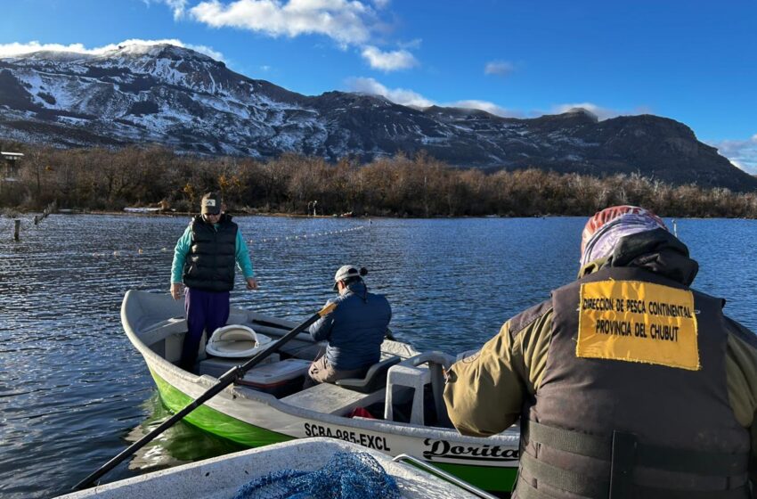  Provincia realiza campaña de desove en ambientes acuáticos de la cordillera