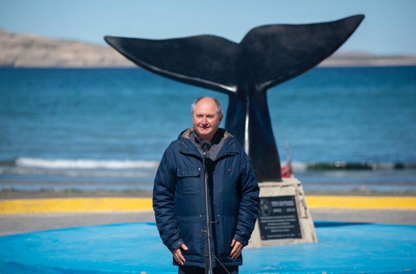 Pirámides: Comenzaron las celebraciones por el Día Nacional de la Ballena Franca Austral