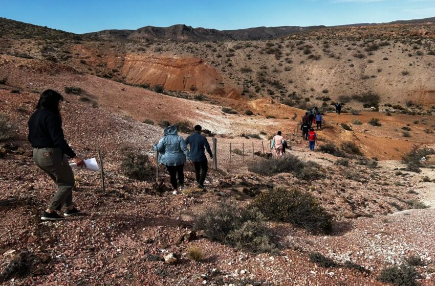  Salud: Se efectuaron actividades en toda la Provincia por la “Semana del Bienestar en las Américas”