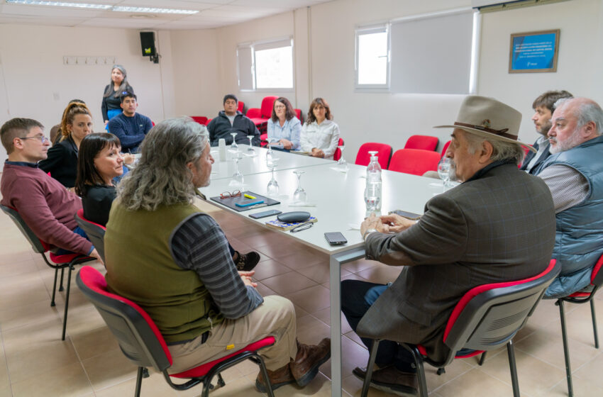  Comodoro avanza con un plan de desarrollo de olivos