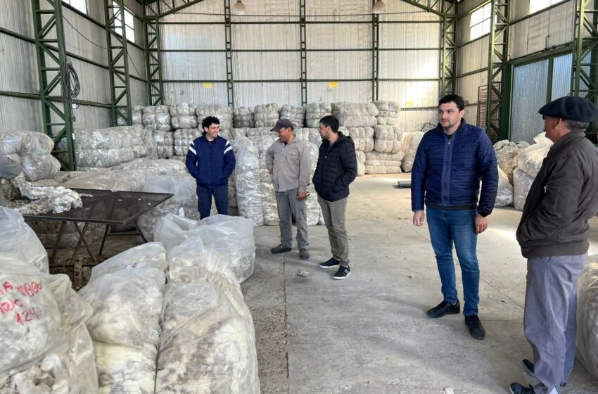  Provincia impulsa proyectos productivos en la meseta chubutense