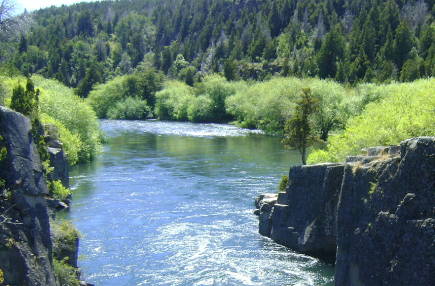  Provincia lanza la temporada de pesca del salmón del pacífico