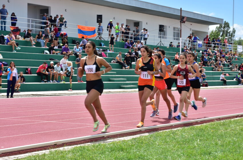  Gran fiesta del atletismo comodorense para cerrar el calendario