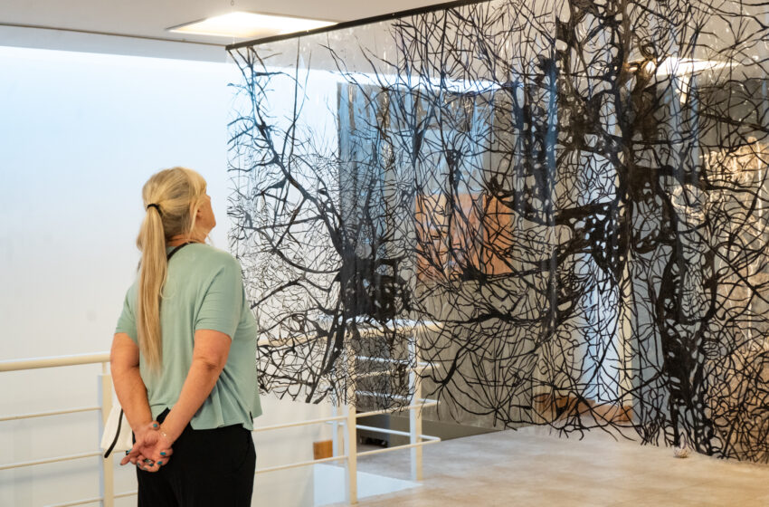  Agenda cultural en Rada Tilly: actividades del fin de semana