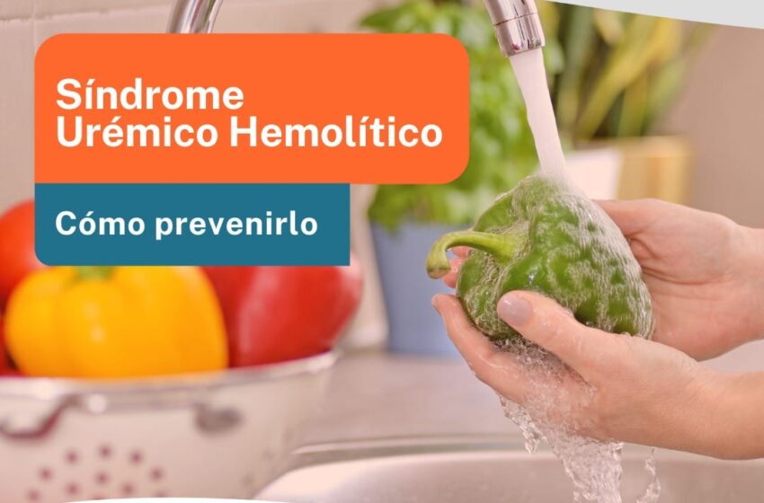 Salud recuerda las medidas para prevenir el Síndrome Urémico Hemolítico