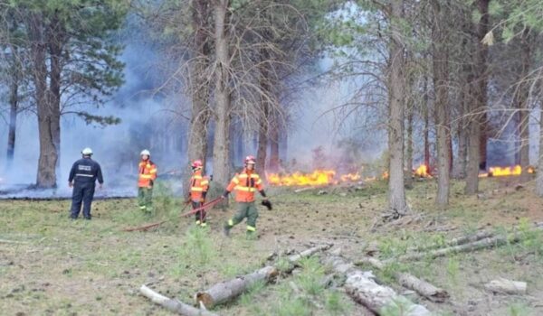  Se encuentra “circunscripto” el incendio en Los Cipreses
