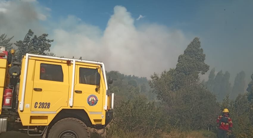  Provincia trabaja para controlar un incendio en la zona de Los Cipreses