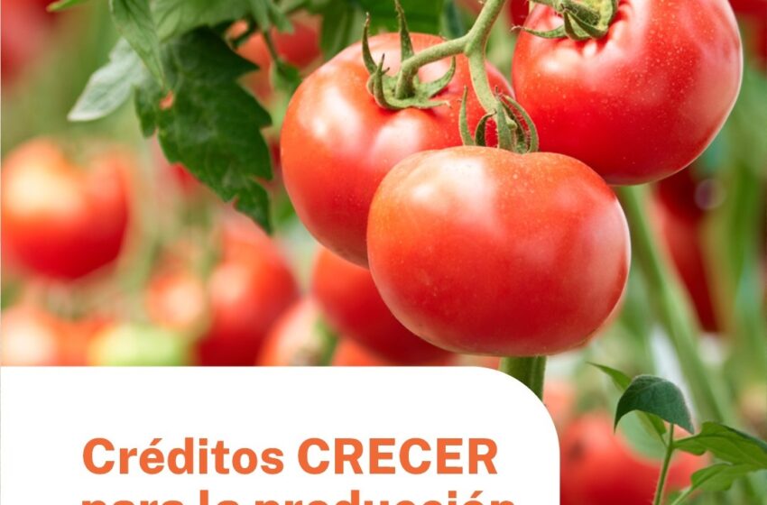  El Gobierno del Chubut informa que están disponibles Líneas de Financiamiento CRECER