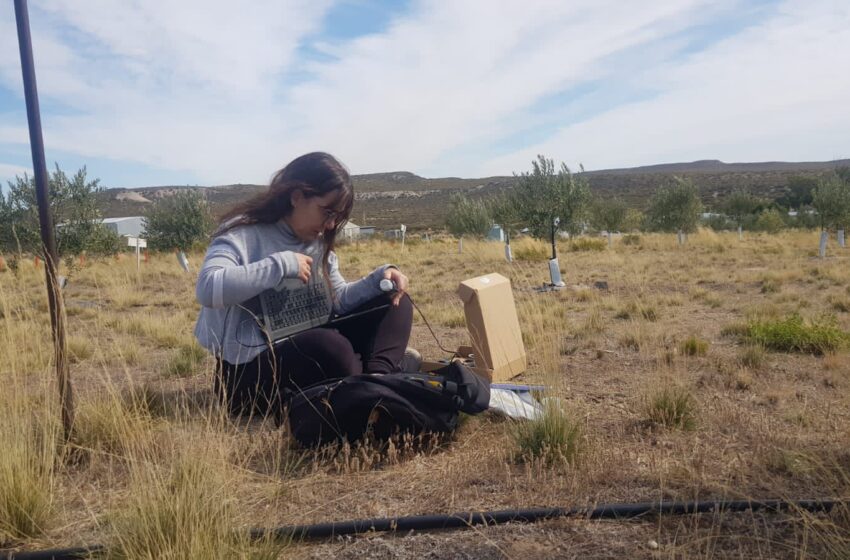  Investigadora chubutense desarrollará estancia en la Universidad de Wisconsin para potenciar cultivos en regiones áridas y frías