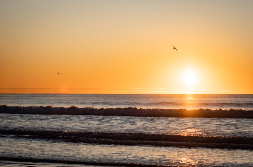  Rada Tilly presenta Respira