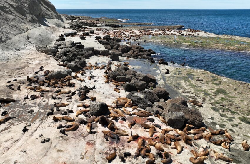  NUEVO ANIVERSARIO DEL ÁREA NATURAL PROTEGIDA PUNTA MARQUÉS