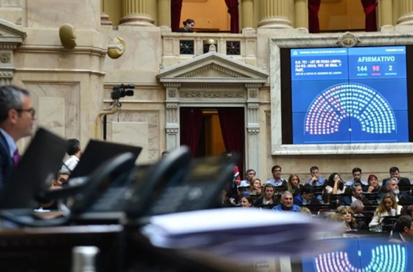  Una Ley sobrevaluada pero bienvenida: Ficha limpia para todos y todas