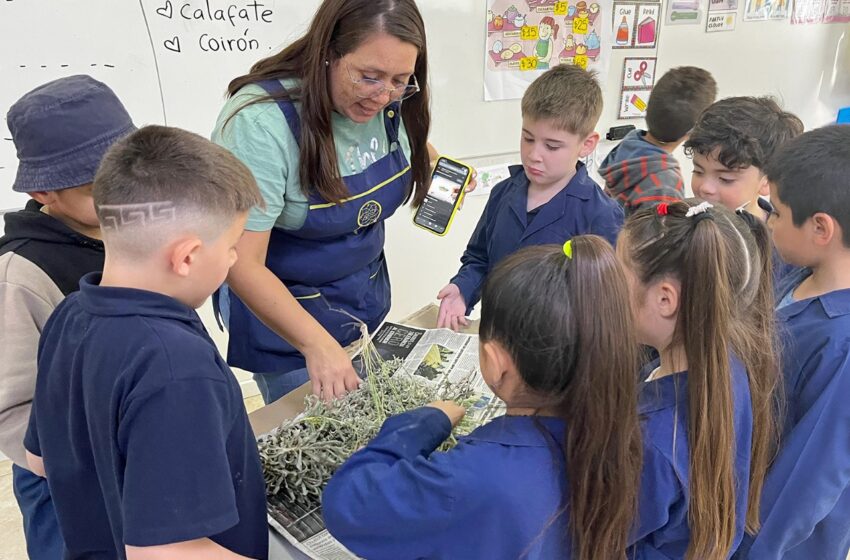  Se trabaja en la continuidad del Club Ambiental en la Escuela Municipal