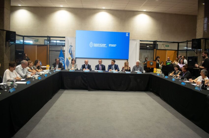Chubut expuso los avances en política ambiental ante el Consejo Federal de Medio Ambiente