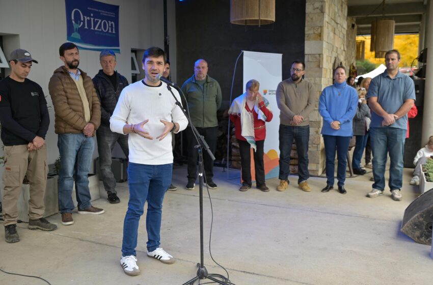  Torres encabezó la 5° edición de los Viñedos Patagónicos y destacó millonaria inversión local para la reconversión energética