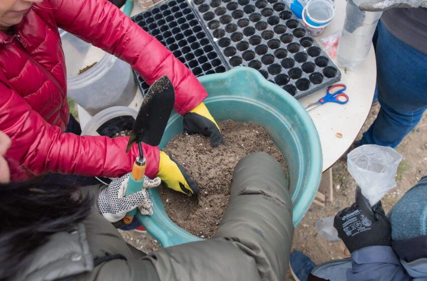  Rada Tilly avanza en el proyecto del Centro Agroecológico