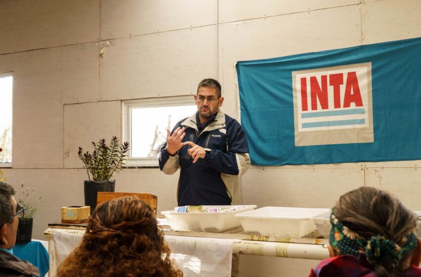  El Municipio e INTA concretaron una capacitación sobre producción de frutilla