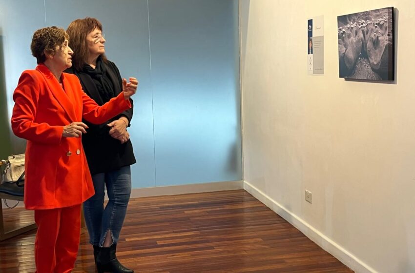  “Viviendo Arte”: una propuesta educativa que acerca las expresiones artísticas para el disfrute y la reflexión