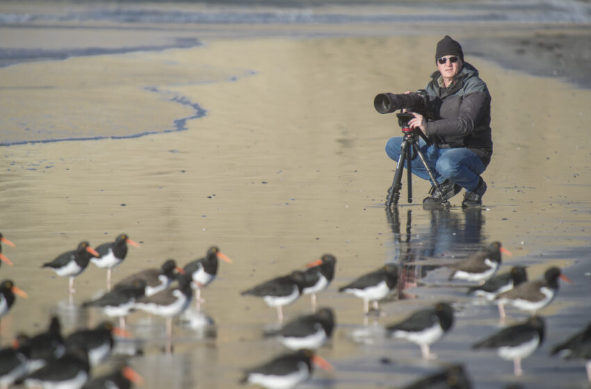  Naturaleza con lente experta: Gabriel Rojo de visita en Rada Tilly