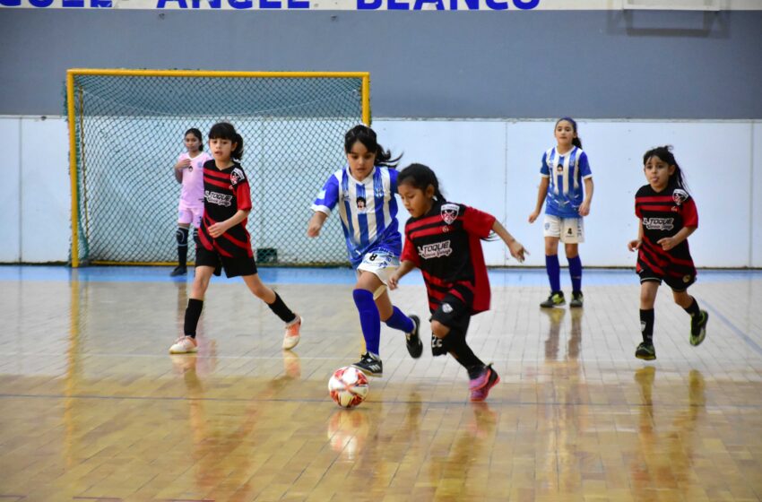  Las Lobas, Las Galácticas, Catamarca y JM Futsal, campeonas de la Copa Challenger formativa