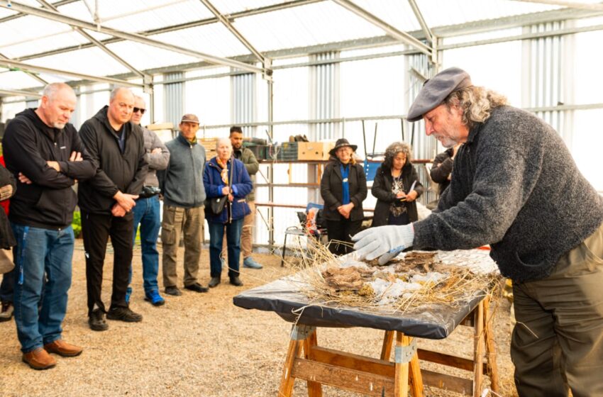  Comodoro avanza hacia la diversificación productiva con el inicio de la producción anual de aceite de oliva