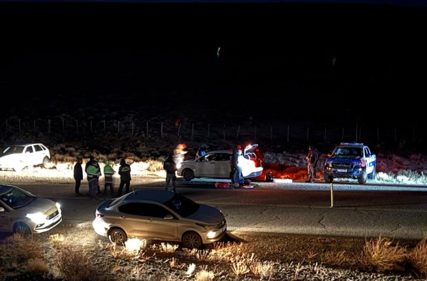  En un importante operativo en Tecka, la Policía del Chubut desarticuló a una banda delictiva