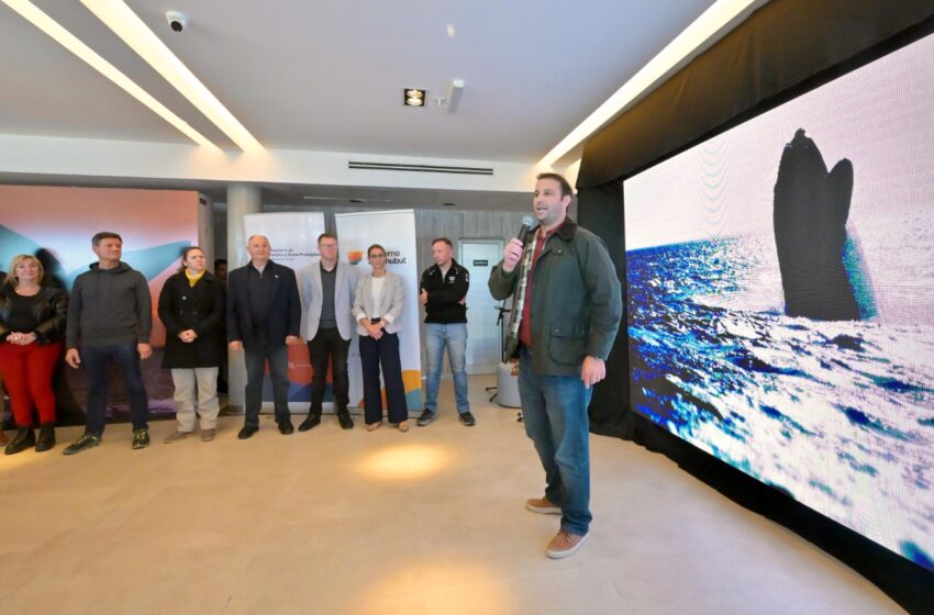  Comenzó la temporada de Ballenas en Chubut