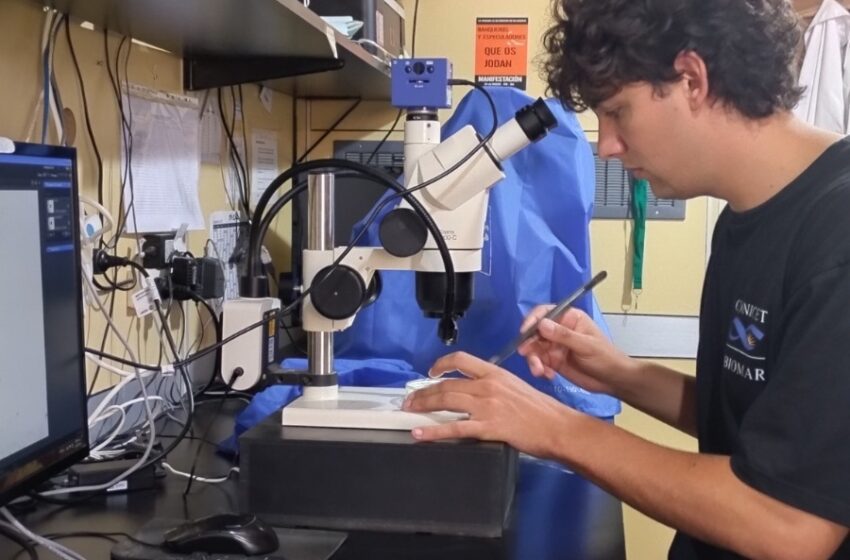  Becario de Chubut desarrolló innovadora investigación en el campo de la morfometría geométrica aplicada al cannabis