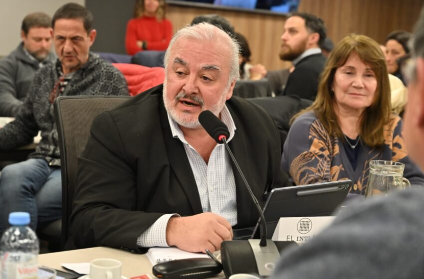  Zárate alertó en Diputados sobre el desmantelamiento del sistema científico nacional y su impacto en las provincias