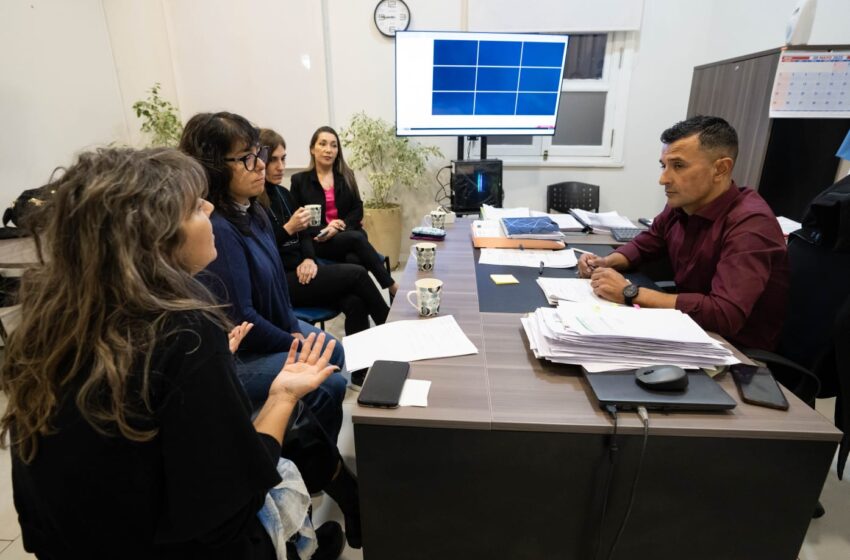  El Municipio busca fortalecer el cuidado y bienestar de los animales en tránsito