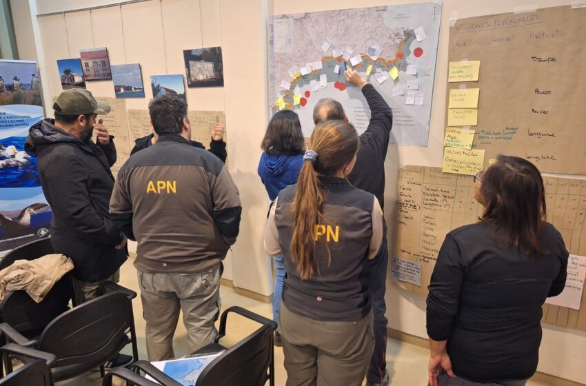 Chubut avanza con el diseño del Programa de Uso Público del Parque Marino Costero Patagonia Austral