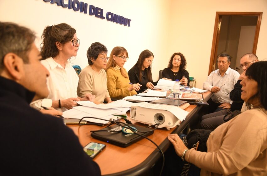  Provincia avanza en la actualización de los Diseños Curriculares en Educación Superior