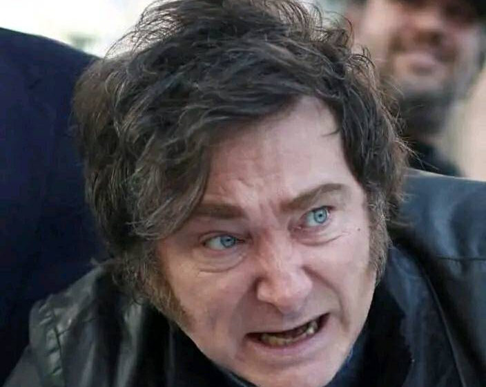  Del león al felino doméstico: la revolución se atraganta con su propia casta