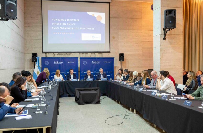  Chubut participó de un nuevo encuentro del Consejo Federal de Drogas