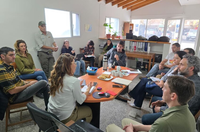  Chubut potencia actividades de Escalada en Piedra Parada