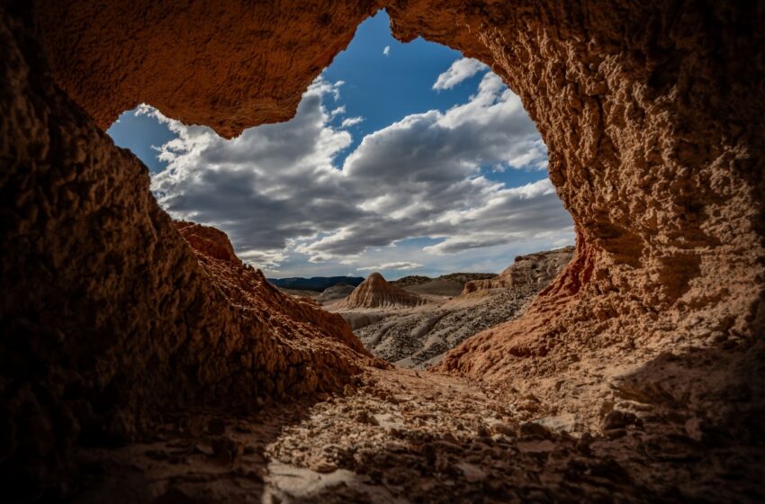  Reorganizando la Acción Colectiva[1]