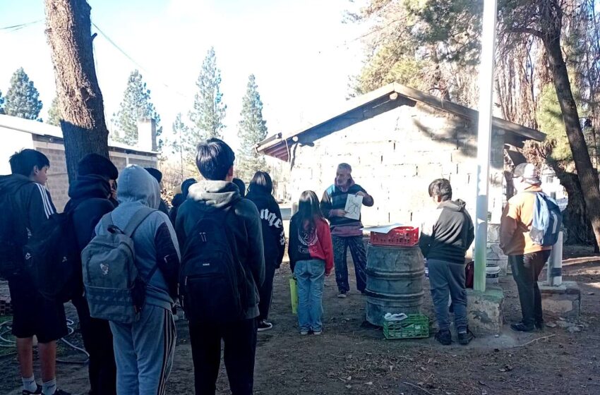  Provincia realiza el Seminario Itinerante “Mural Animado” en distintas localidades de la meseta chubutense