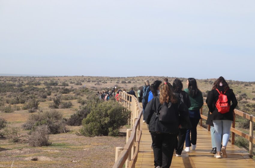  Chubut inauguró la temporada de Pingüinos en Punta Tombo con más servicios, conservación y tecnología
