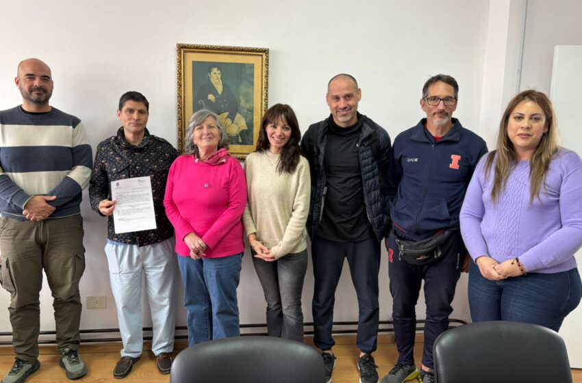  Capacitación condición física saludable en escolares