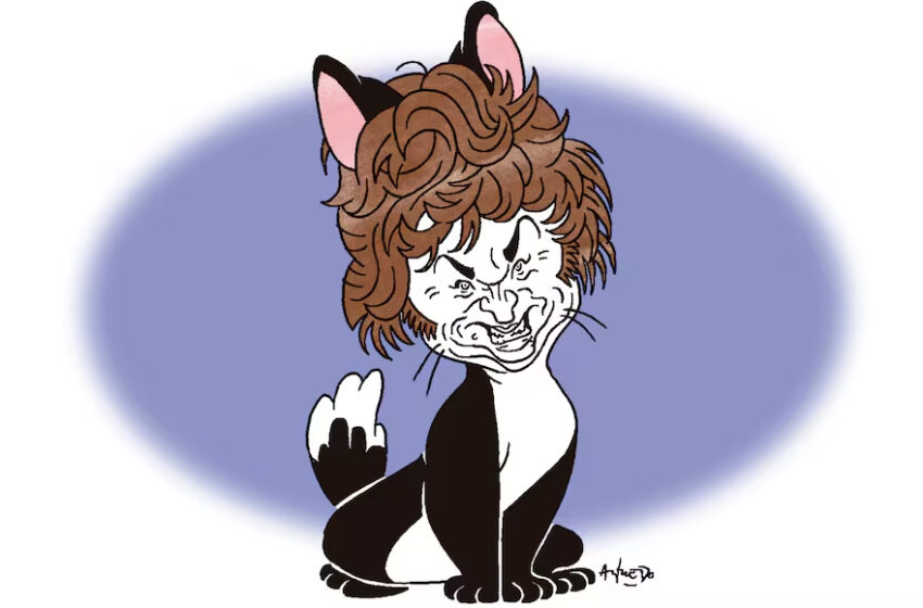  La debilidad de la institución invisible