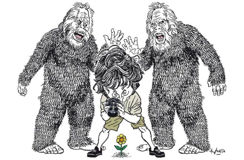  Muchos frentes para un gobierno monofocal